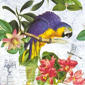 N987 # 3 Stück einzelne Papierservietten für Decoupage, Bastelpapier, Gelb Blau Papagei Vogel Exotic Jungle Flowers Collage Mit Map Script