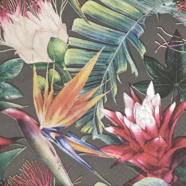 P615# 3 Pieces Of Single Paper Napkins for Decoupage, Craft Tissue, Exotic Jungle Leaves And Guzmania Strelicia Flowers Pattern