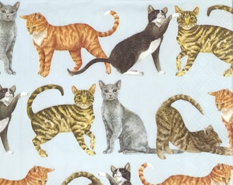 N968# 3 Pieces Of Single Paper Napkins for Decoupage, Craft Tissue, Emma Bridgewater Lots Of Cats  Species Kitten Pattern On Blue Background