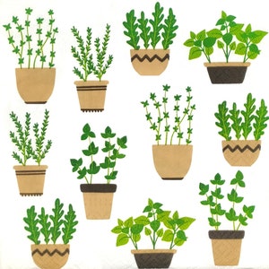 May include: A collection of eleven potted herb illustrations featuring various green plants in tan and brown containers. The plants include leafy greens, thin-stemmed herbs, and textured foliage, all arranged against a plain white background.