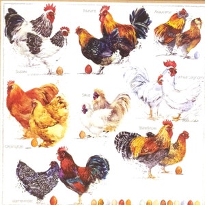 N970 # 3 serviettes en papier pour découpage, papier peint artisanal, collage d'espèces de poule et de coq blanc brun noir