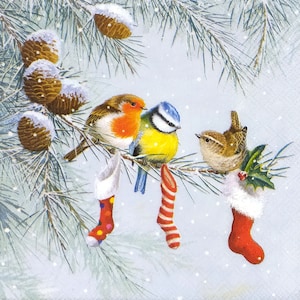 May include: A festive illustration of birds perched on a snow-covered pine branch. The birds include a robin with an orange breast, a blue tit, and a wren. Christmas stockings hang from the branch, and pine cones are dusted with snow.