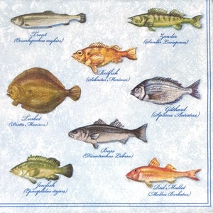 P416# 3 pezzi di tovaglioli di carta singoli per decoupage, fazzoletti artigianali, motivo pesce di mare blu marrone con nomi