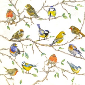 P002# 3 pezzi di tovaglioli di carta singoli per decoupage, carta velina, motivo mini uccelli sui rami