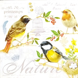 N925# 3 peças de guardanapos de papel individuais para decoupage, tecido artesanal, padrão de pássaros de primavera em galhos, colagem de ninho, inscrição e baga
