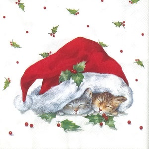 S602# 3 pezzi di tovaglioli di carta singoli PICCOLI per decoupage, formato cocktail in carta velina, due gattini natalizi che dormono sotto un grande berretto da Babbo Natale