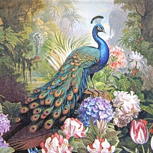 U376 #3 stuks enkele papieren servetten voor decoupage, knutselpapier, koninklijke pauw vogels in tulp hortensia bloem jungle