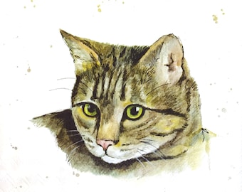 N399# 3 Pieces Of Single Paper Napkins for Decoupage, Craft Tissue, Tabby Cat Kitten On White Background