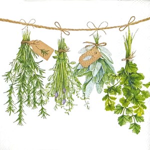 S376# 3 pezzi di PICCOLI tovaglioli di carta singoli per decoupage, formato cocktail, fazzoletti artigianali, erbe aromatiche verdi, prezzemolo e rosmarino su corda