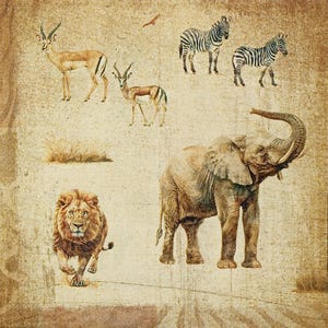 U351# 3 stuks enkele papieren servetten voor decoupage, knutselpapier, Afrikaanse dieren, giraffe, gnoe, olifant, leeuw, neushoorn op bruin patroon
