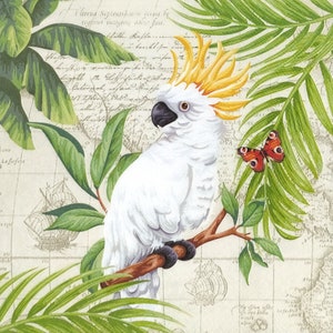 N988 # 3 Stück einzelne Papierservietten für Decoupage, Bastelgewebe, weißer Papagei Kakadu Vogel exotische Dschungelblätter Collage mit Landkarte Schriftzug