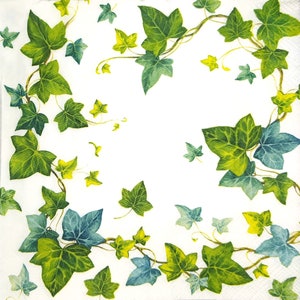 S447# 3 pezzi di PICCOLI tovaglioli di carta singoli per decoupage, veli artigianali formato cocktail, motivo edera rampicante verde