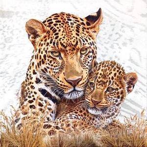 May include: A close-up of a mother leopard and her cub. The mother is looking at the camera with a gentle expression, while the cub is nestled against her. Both leopards have a spotted coat pattern.