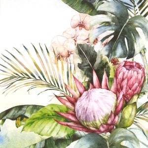 Q065# 3 pezzi di tovaglioli di carta singoli per decoupage, fazzoletti artigianali, cornice con fiori esotici Protea rosa bianchi su sfondo bianco