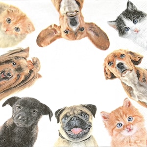 R739 #3 stuks enkele papieren servetten voor decoupage, knutselpapier, veel hondenkoppen patroon op beige achtergrond