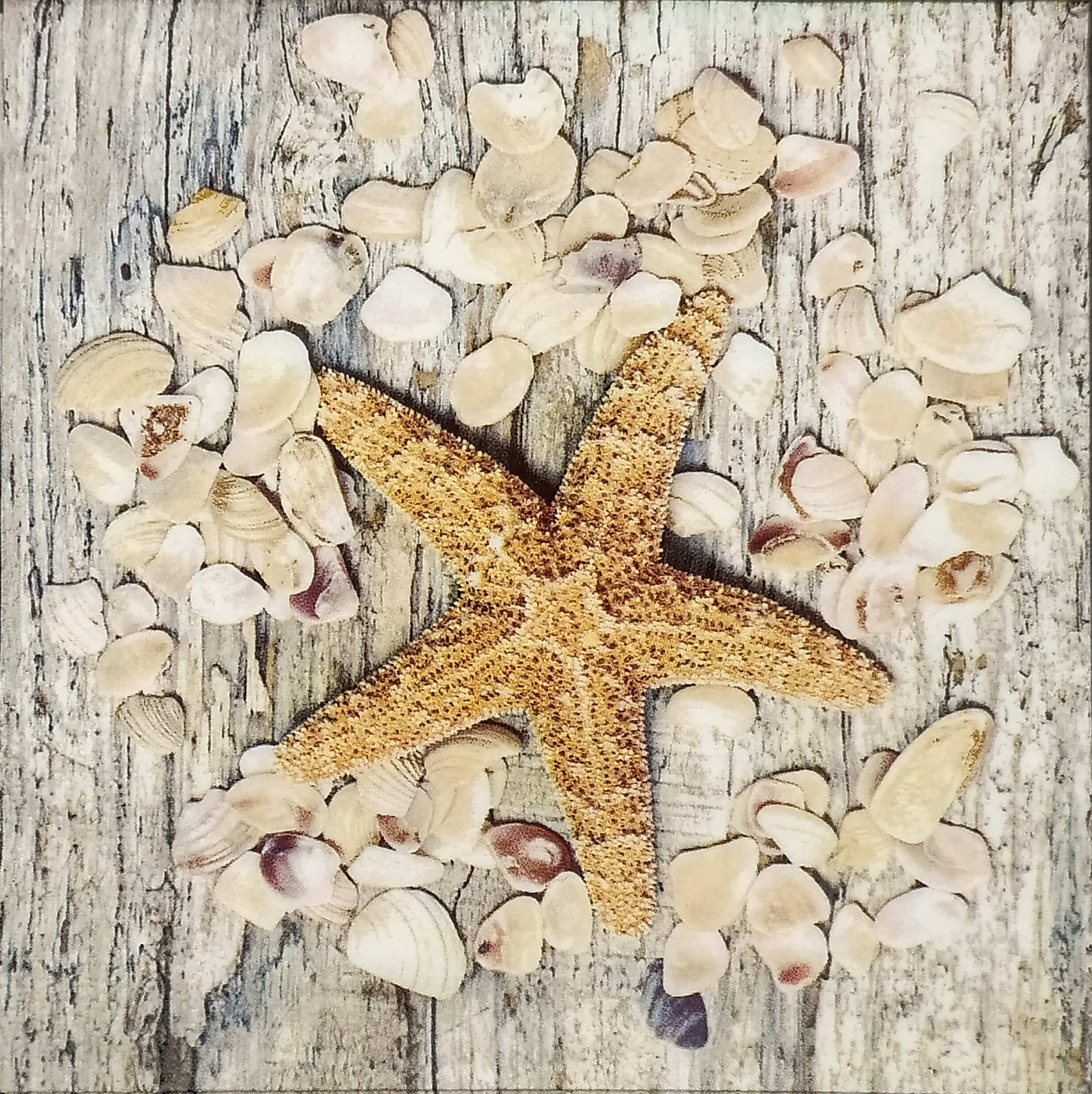 Q282# 3 pedaços de guardanapos de papel individuais para decoupage, tecido artesanal, estrela do mar e concha em madeira cinza