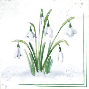 R013 # 3 Stück Servietten einzeln für Decoupage, Basteltücher, Frühling Schneeglöckchen Blumen Busch auf weißem Hintergrund