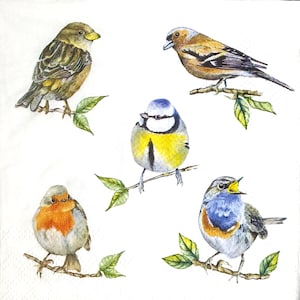 Z044 # 3 Stück KLEINE Einzel Papierservietten für Decoupage Cocktail Größe, Bastelpapier, verschiedene Vögel, Rotkehlchen, Meisen, Spatz Auf Zweig