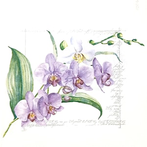 U285# 3 stuks enkele papieren servetten voor decoupage, knutselpapier, paarse orchideeën fallenopsis bloemtakje
