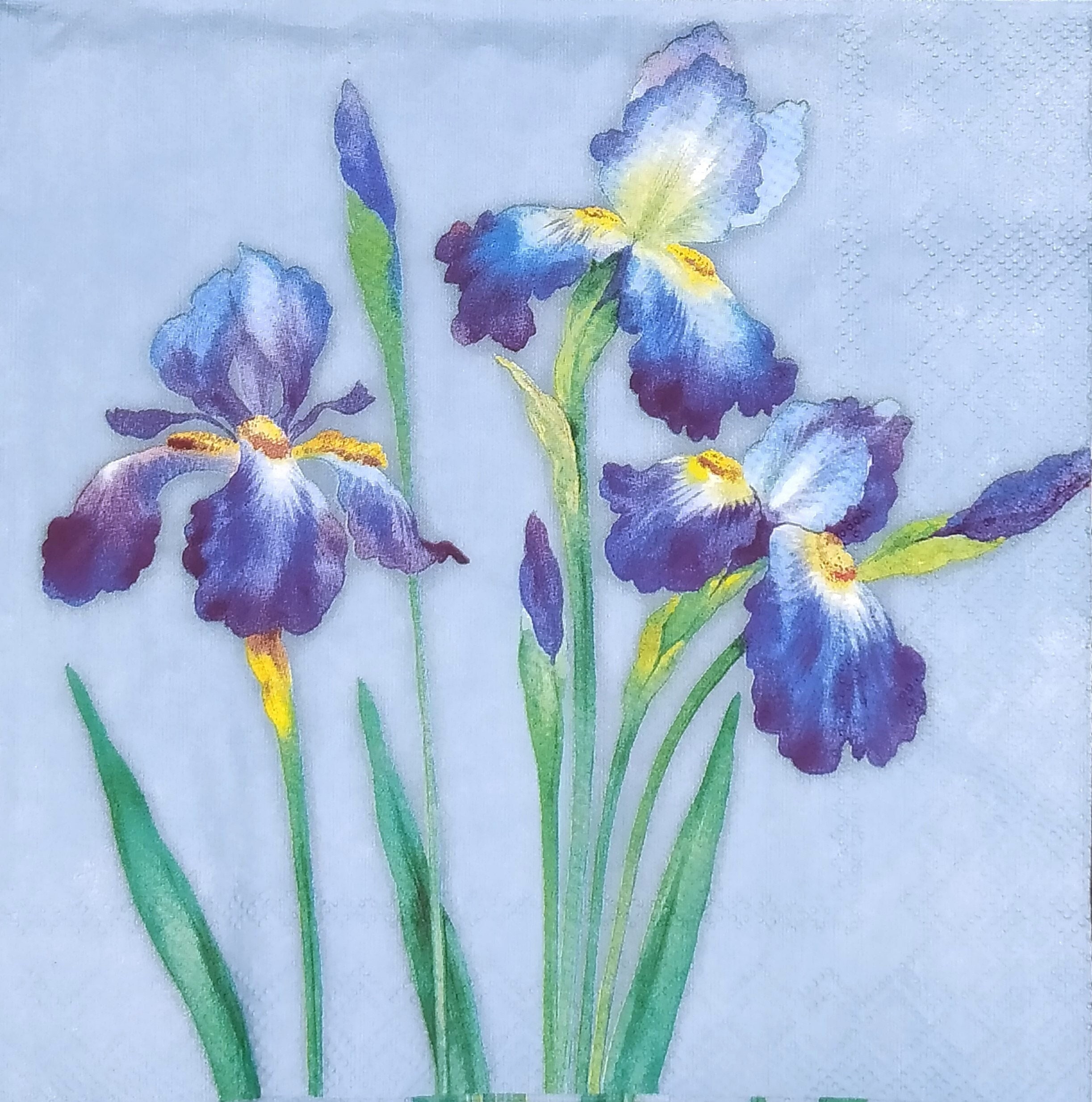 100 Tovaglioli Di Carta Blu E Bianchi 3 Strati Con Motivo Floreale, 33x40 Cm, Per Matrimoni E Feste