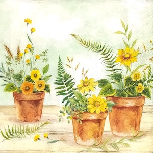 Könnte beinhalten: Eine Aquarellillustration von drei Terrakottatöpfen mit verschiedenen gelben Blumen, grünen Farnen und Weizenhalmen. Die Töpfe sind auf einer hellen Holzoberfläche angeordnet, wobei ein einzelnes Farnblatt und zwei kleine gelbe Blumen flach darauf liegen.
