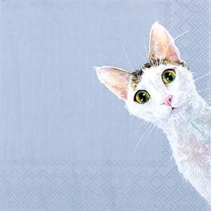 U262 # 3 serviettes en papier pour découpage, papier de soie artisanal, chat blanc curieux se cachant dans un coin, bleu