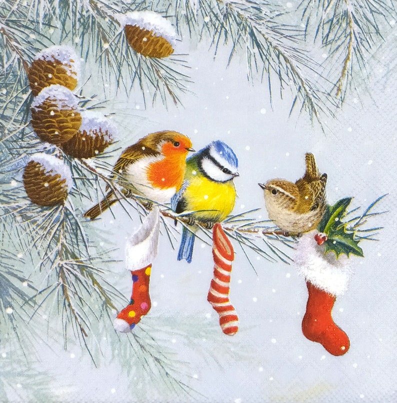 May include: A festive illustration of birds perched on a snow-covered pine branch. The birds include a robin with an orange breast, a blue tit, and a wren. Christmas stockings hang from the branch, and pine cones are dusted with snow.