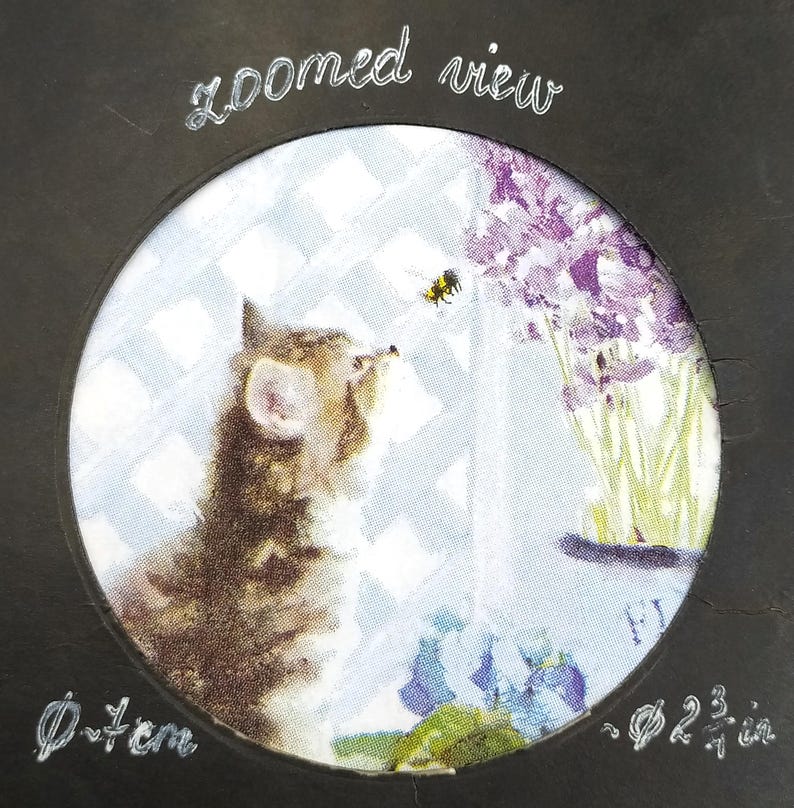 May include: A close-up of a kitten looking up at a bee hovering near a bouquet of purple flowers. The image is framed in a black circle with the text "zoomed view" at the top and measurements in inches at the bottom.