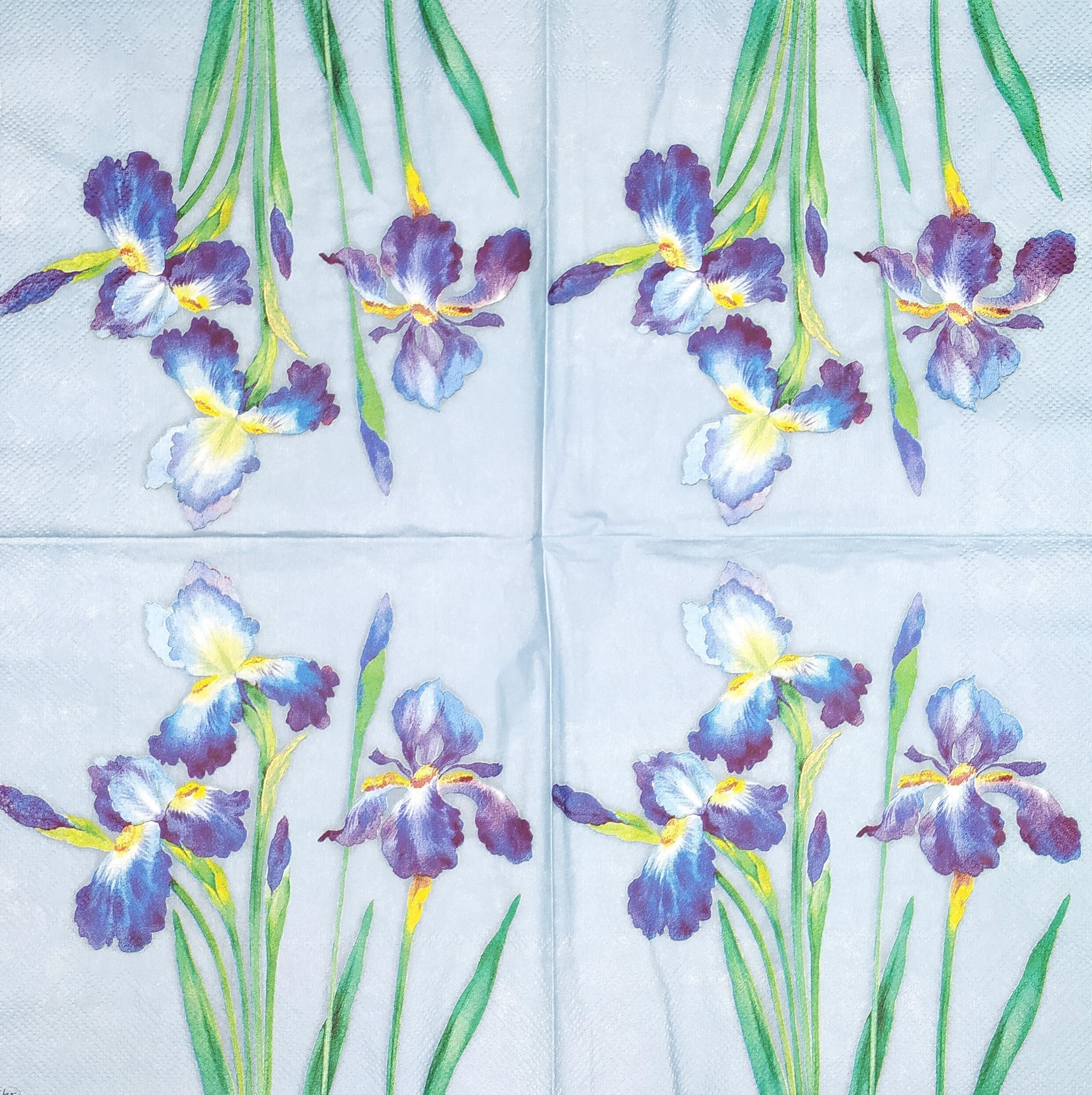 lasuroa 60pz Tovaglioli Floreali Blu, Tovaglioli di Carta da Cocktail Chinoiserie Blu e Bianchi Asciugamani per Ospiti con Fiori Decorativi per