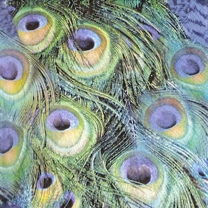 P021# 3 Stück Servietten einzeln für Decoupage, Basteltücher, Royal Pfau Vogel Feder Muster