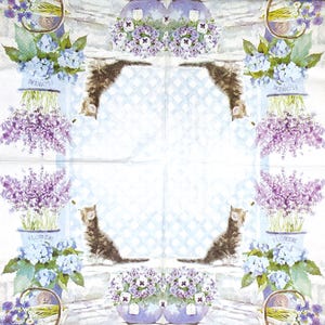 May include: A white background with a blue and white checkered pattern. Two brown and white cats are looking at each other. The cats are surrounded by lavender and blue flowers in pots. The pots have the word "Flowers" written on them.