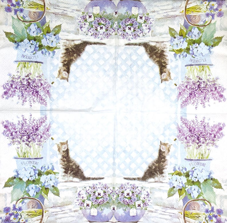 May include: A white background with a blue and white checkered pattern. Two brown and white cats are looking at each other. The cats are surrounded by lavender and blue flowers in pots. The pots have the word "Flowers" written on them.