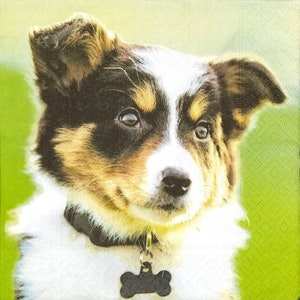 T606 #3 stuks enkele papieren servetten voor decoupage, knutselpapier, zwart-wit border collie puppy hondenkop op groene foto