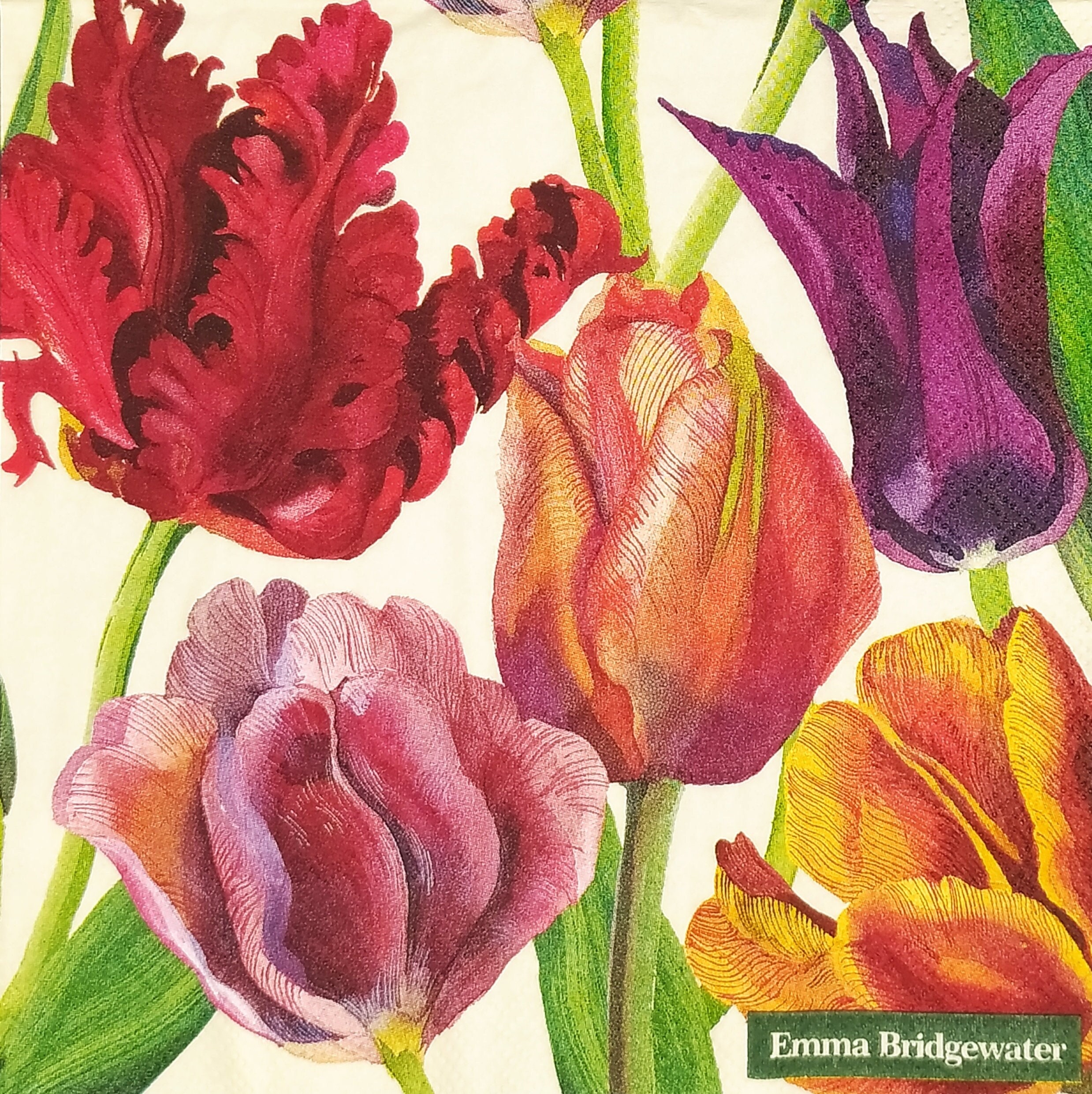 Tulip Iridescent Puffy Paints set of Six, Dimensional Fabric Paint