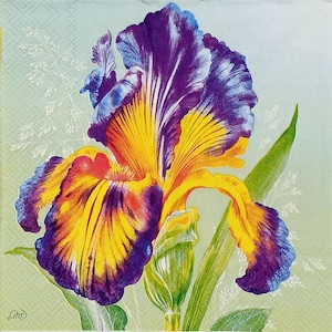U354 #3 stuks enkele papieren servetten voor decoupage, knutselpapier, geelpaarse grote irisbloem bloei op groene achtergrond