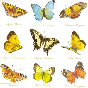 N754# 3 peças de guardanapos de papel individuais para decoupage, tecido artesanal, padrão de borboleta colorido com aparência natural e nomes botânicos em branco