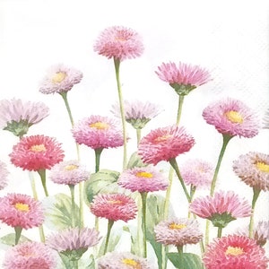 S648# 3 pezzi di tovaglioli di carta singoli PICCOLI per decoupage, formato cocktail in carta velina, fiori di campo di margherite rosa pastello su bianco