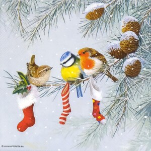 May include: A festive illustration features three colorful birds perched on a snow-covered pine branch. Red and white Christmas stockings hang below. Pine cones and falling snow complete the winter holiday scene.