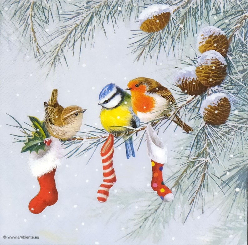 May include: A festive illustration features three colorful birds perched on a snow-covered pine branch. Red and white Christmas stockings hang below. Pine cones and falling snow complete the winter holiday scene.