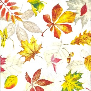 May include: A white background featuring a pattern of autumn leaves in shades of yellow, orange, red, and brown. The leaves are of different shapes and sizes, including maple, oak, and chestnut leaves. Some leaves are outlined in a light grey colour.