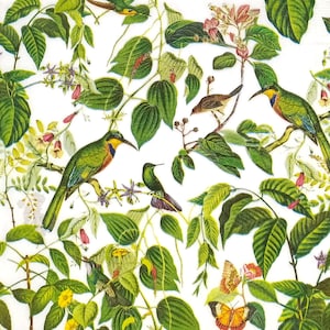 P929 # 3 Stück Papierservietten einzeln für Decoupage, Bastelgewebe, exotische Vögel Und Blumen im Dschungelmuster