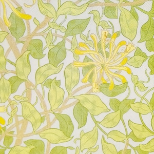 P689 # 3 Stück einzelne Papierservietten für Decoupage, Bastelgewebe, Gelbe Geißblatt Blumen Muster auf Himmelblauem Hintergrund