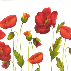 P726 # 3 Stück einzelne Papierservietten für Decoupage, Bastelgewebe, Elegante Rote Mohnblumen Blumen Mit Knospenfeld