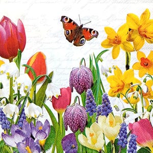 U317# 3 pezzi di tovaglioli di carta singoli per decoupage, carta velina, fiori primaverili colorati, prato di tulipani e narcisi con farfalle in volo