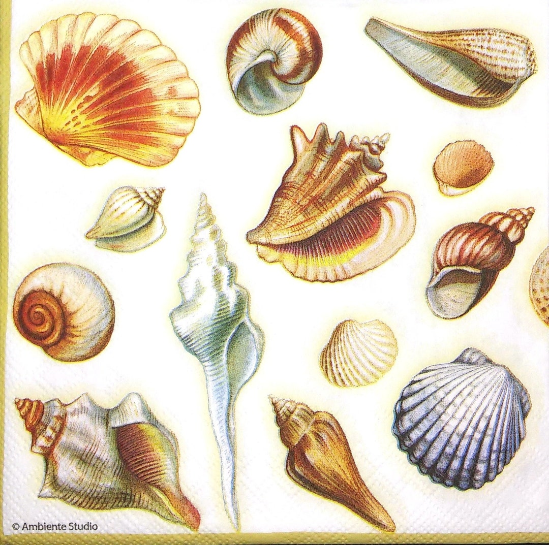 Shell Paper Napkins M780# 3 Pieces of Single Paper Napkins for Decoupage, Craft Tissue ...