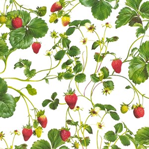 May include: A white background with a pattern of green leaves and red strawberries. The strawberries are arranged in a random pattern and are of varying sizes. The leaves are also of varying sizes and are arranged in a random pattern.