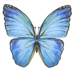 R814# 3 piezas de servilletas de papel individuales para decoupage, papel de seda para manualidades, mariposa grande azul sobre fondo blanco