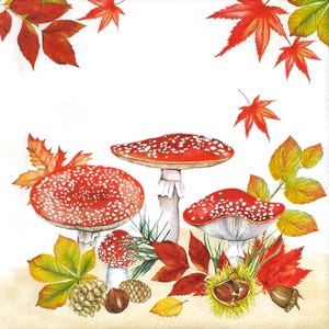 T963# 3 pezzi di tovaglioli di carta singoli per decoupage, fazzoletti artigianali, fungo agarico rosso con foglie autunnali su sfondo bianco