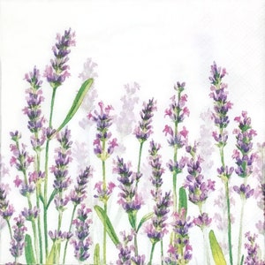 S458# 3 pezzi di PICCOLI tovaglioli di carta singoli per decoupage formato cocktail, tessuto artigianale, campo di fiori di lavanda viola pastello