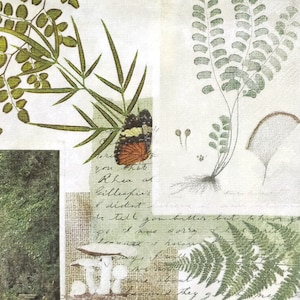 Q732# 3 piezas de servilletas de papel individuales para decoupage, tejido artesanal, collage de imágenes de plantas forestales con hojas de helecho, guiones y mariposas
